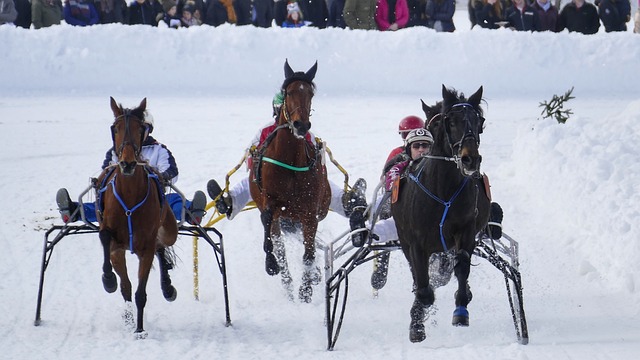 上赛季场均22.5分7.3篮板！山西官宣迪亚洛回归球队